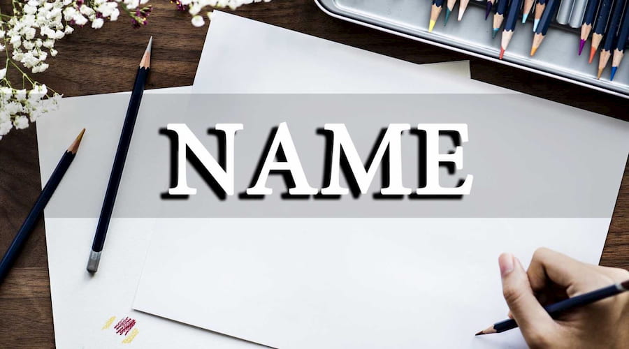 Surname, Given Name, Family Name là gì? Cách sử dụng CHUẨN NHẤT